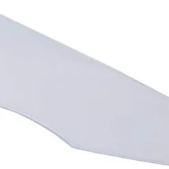 Pinlock Lens 120 Schuberth C3/S2/E1